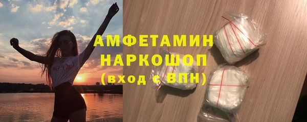 PSILOCYBIN Алзамай