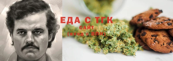 PSILOCYBIN Алзамай
