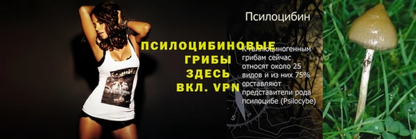 дживик Алексеевка
