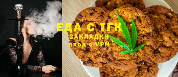 PSILOCYBIN Алзамай
