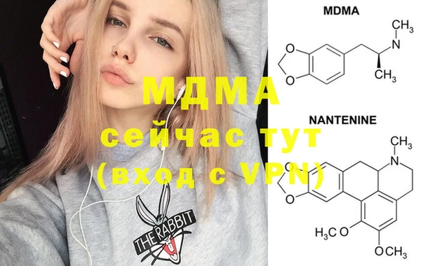 PSILOCYBIN Алзамай