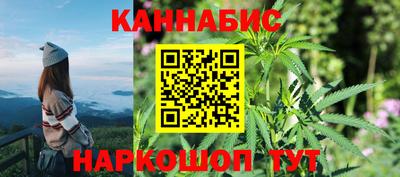 сатива Кимры