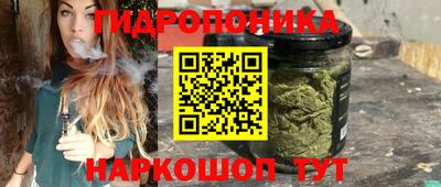 сатива Кимры