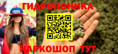 твердый Коммунар