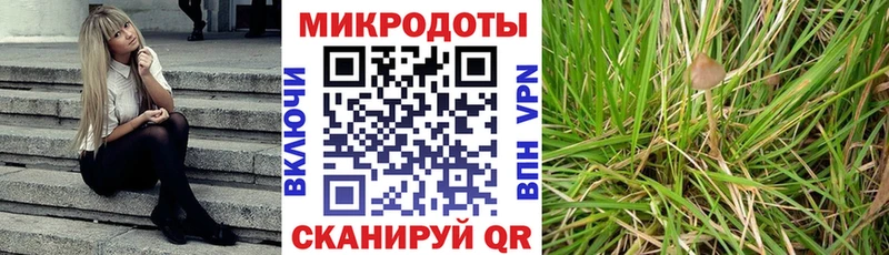 мориарти телеграм  где продают наркотики  Миасс  Псилоцибиновые грибы Cubensis 